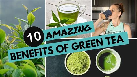 The Amazing Health Benefits Of Drinking Green Tea Daily Chai Craft News Blog