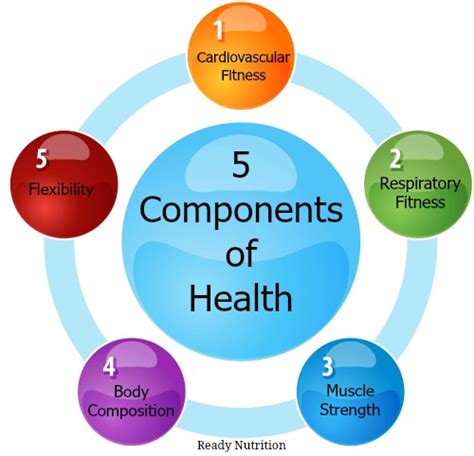 The Component Of Health