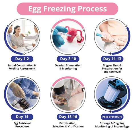 The Emotional And Social Complexities Of Egg Freezing Psychology Today South Africa