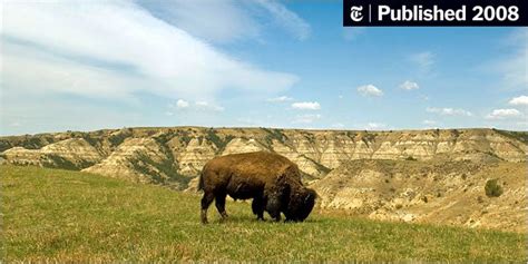 The Great Plains Restored And Ready For Eco Tourists The New York Times