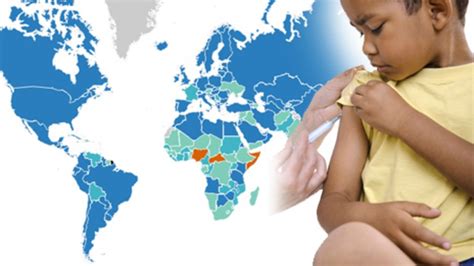 The Growth Of Global Immunisation Bbc News