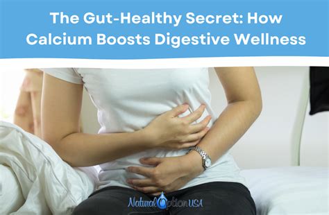 The Gut Healthy Secret How Calcium Boosts Digestive Wellness Natural Option Usa