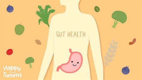 The Gut Is The Foundation Of Your Health Happytummy