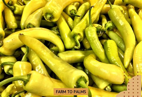 The Health Benefits Of Banana Peppers A Nutritional Powerhouse Farm To Palms