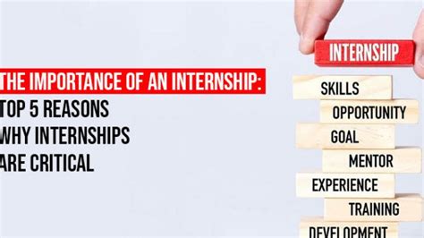 The Importance Of An Internship 5 Reasons Why Internships Are Critical