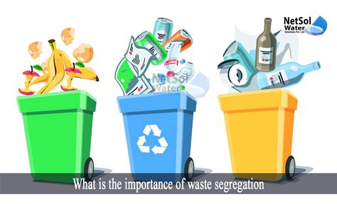 The Importance Of Trash Management