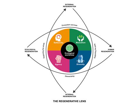 The Regenerative Lens A Conceptual Framework For Regenerative Social Ecological Systems Sciencedirect