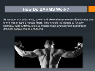 The Ultimate Guide To Sarms Ppt