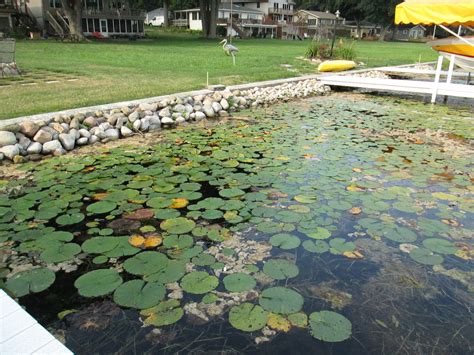 Tippecanoe Lake Healthy Shorelines Healthy Soils Clean Water