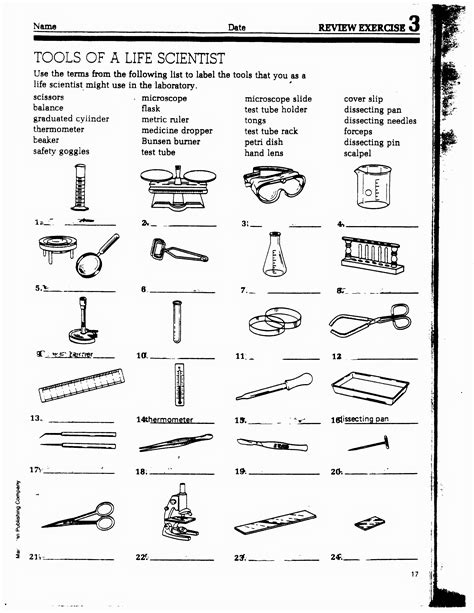 5 Essential Tools