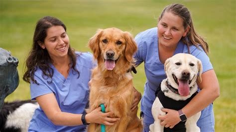 Top 9 Animal Jobs Careers For Animal Lovers Uc Davis