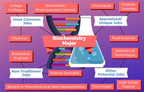 Top Careers For Biochemistry Majors