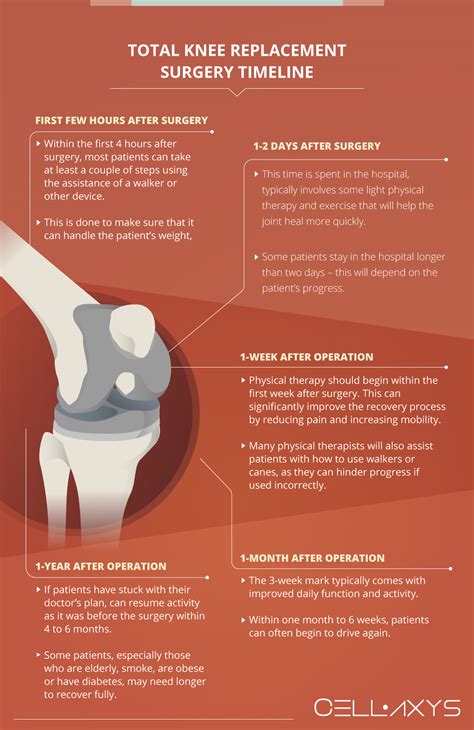 Total Knee Replacement Surgery Recovery Time And What To Expect