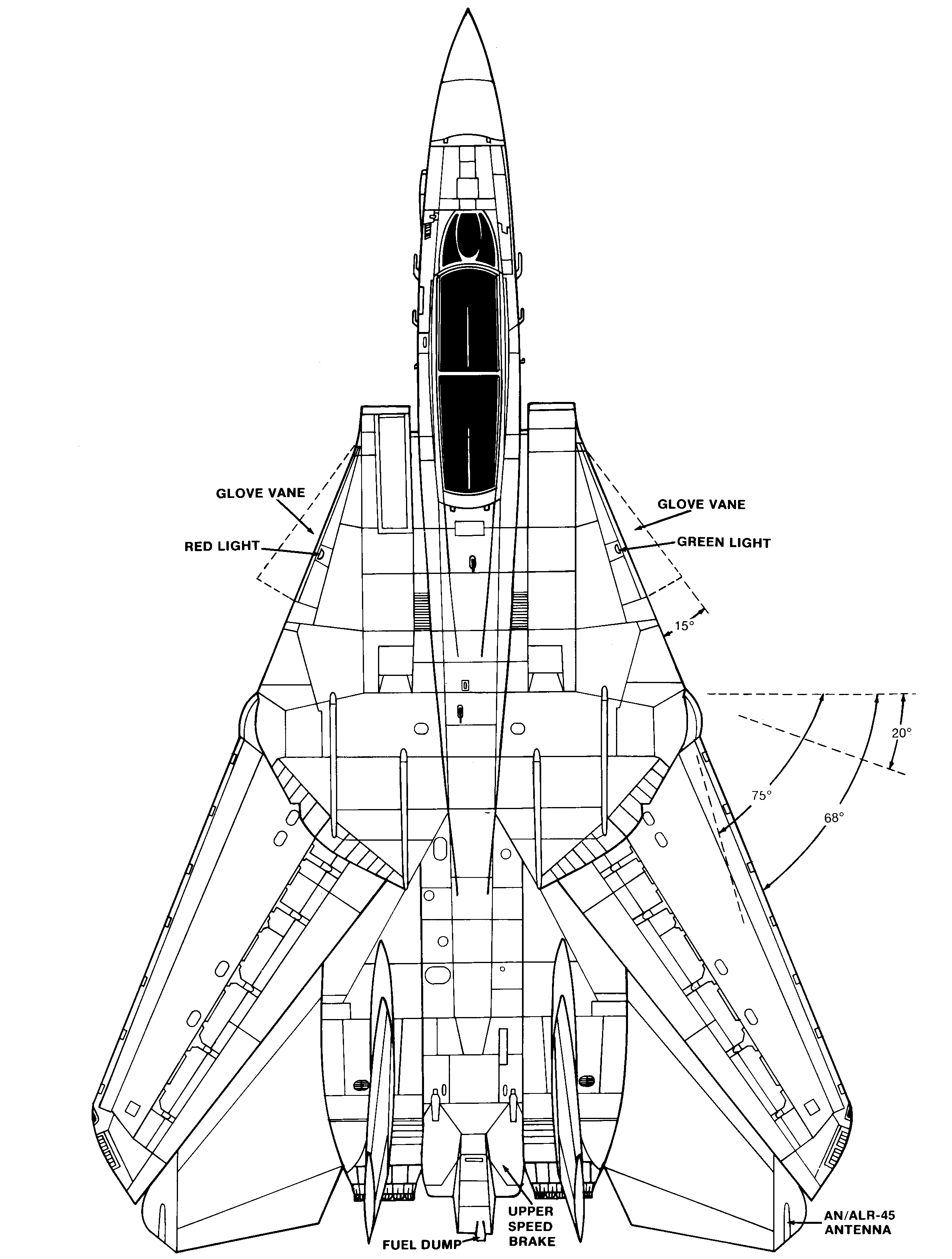 Tour Around The Grumman F 14 Tomcat Original Top Gun Fighter Jet