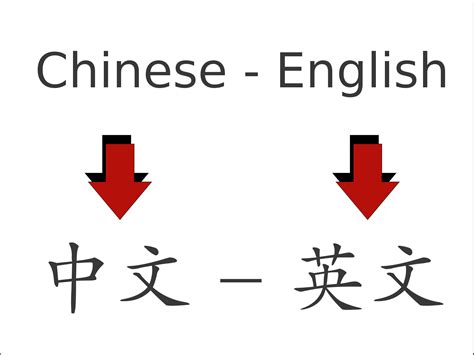 Translate Chinese To English