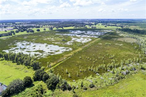 Two Lakes Two Streams And A Marsh Filed A Lawsuit In Florida To Stop A Developer From Filling In Wetlands A Judge Just Threw It Out Of Court Inside Climate News