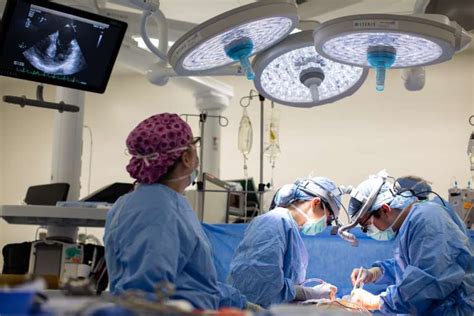 Uf Health Surgeons Perform Historic Double Lung Transplant On Covid 19