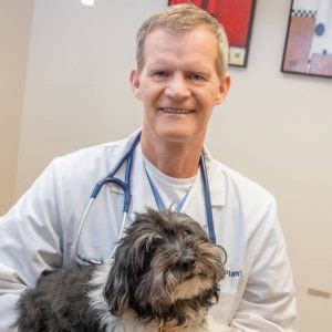 Uf Veterinary Dermatology