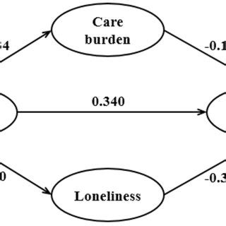 Understanding Informal Care Burden Domains Impact On Overall Burden A Structural Equation Modeling Approach With Cross Sectional Data From Germany Journal Of Social Policy Cambridge Core