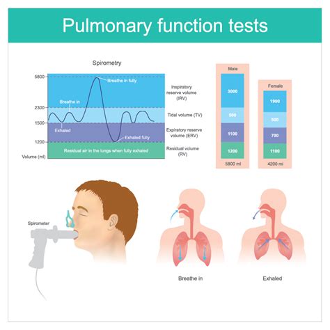 Understanding Pulmonary Function Tests Pfts And Their Importance With