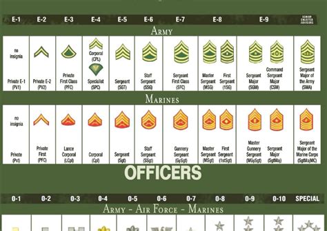 Understanding Us Military Ranks Military Connection