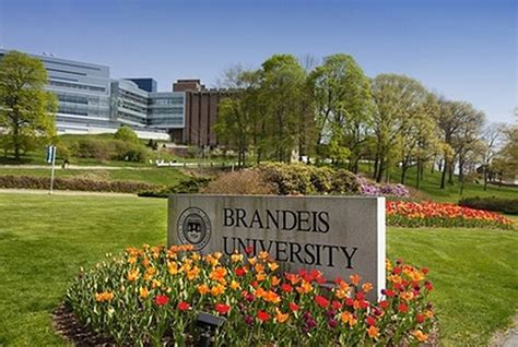 Universitas Brandeis