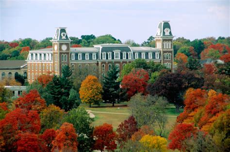 University Of Arkansas