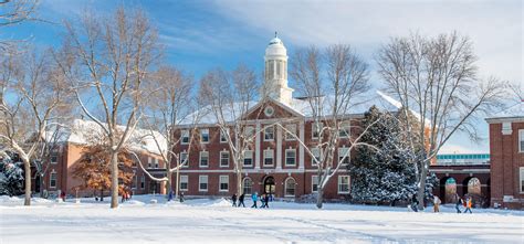 University Of Maine