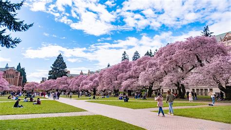 University Of Washington