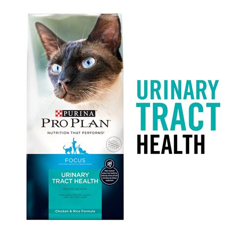 Urinary Dry Cat Food