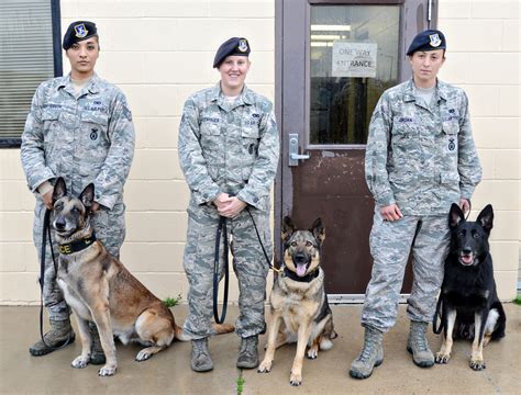 Us Air Force K9 Handler