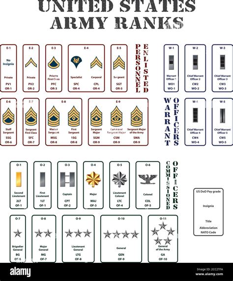 Us Army Groups Army Structure Military Ranks Army