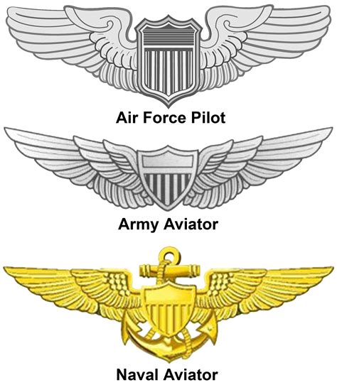 Us Army Helicopter Pilot Ranks