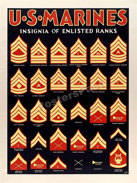 Us Marine Ranks Ww2