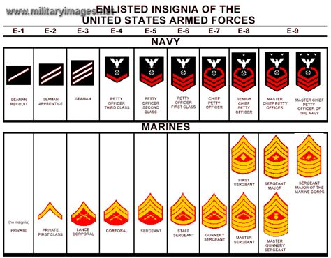 Us Navy Enlisted Ratings