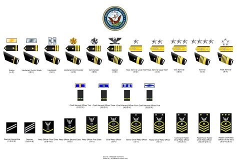 Us Navy Rank Structure Chart