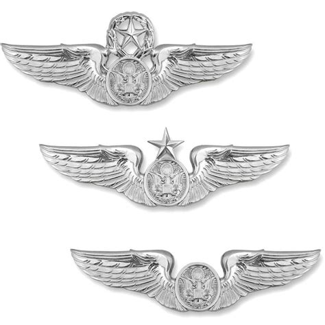 Usaf Enlisted Aircrew Badge Requirements