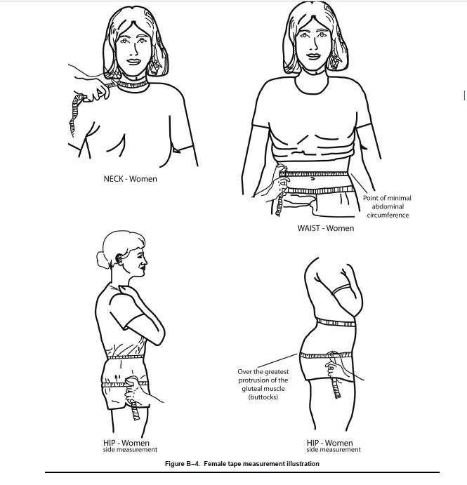 Usmc Body Fat Chart