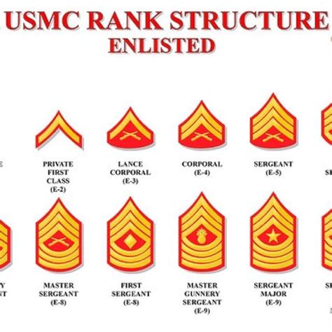 Usmc Rankings By State