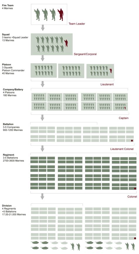 Usmc Unit Size Chart