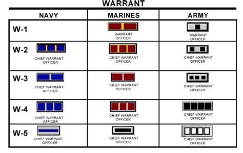 Usmc Warrant Officer Rank Structure