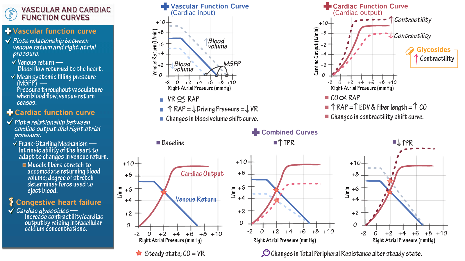 Usmle Comlex Step 1 Vascular And Cardiac Function Curves Ditki