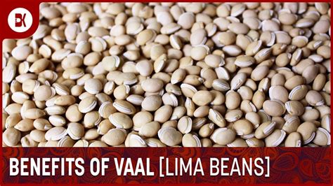 Vaal Beans Health Benefits