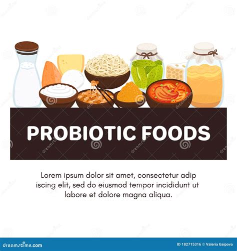 Vector Probiotic Foods Best Sources Of Probiotics Beneficial Bacteria Improve Health Stock