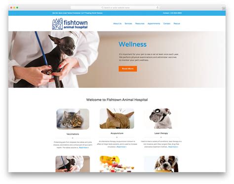 Veterinarian Advice Websites