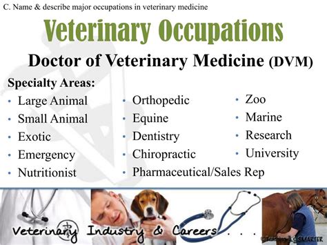 Veterinarian Related Occupations