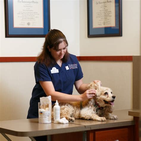 Veterinarian Winter Haven