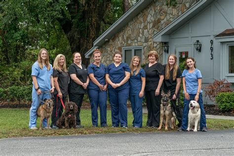 Veterinarians In Mount Pleasant Michigan