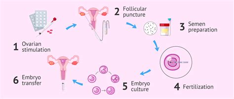 Veterinary Assisted Reproduction