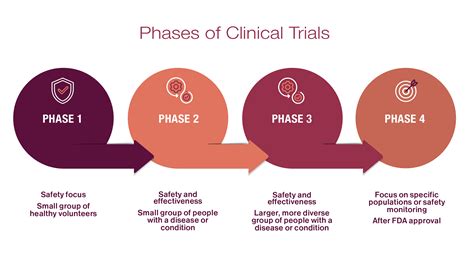 Veterinary Clinical Trials Phases